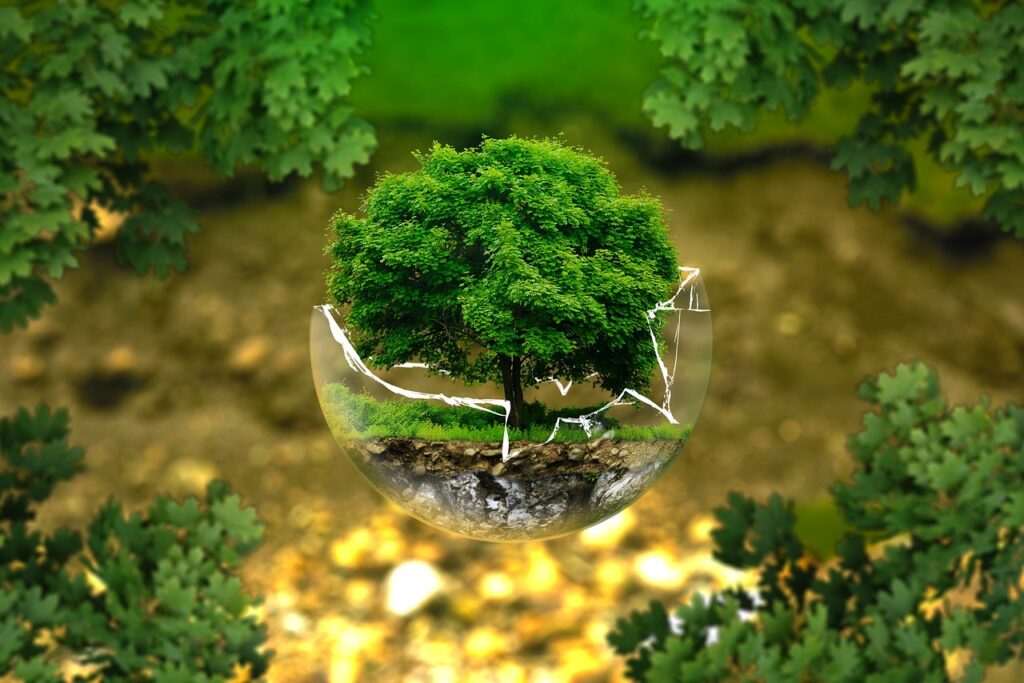 Environment: a small plant in a broken glass bowl symbolic of our fragile environment