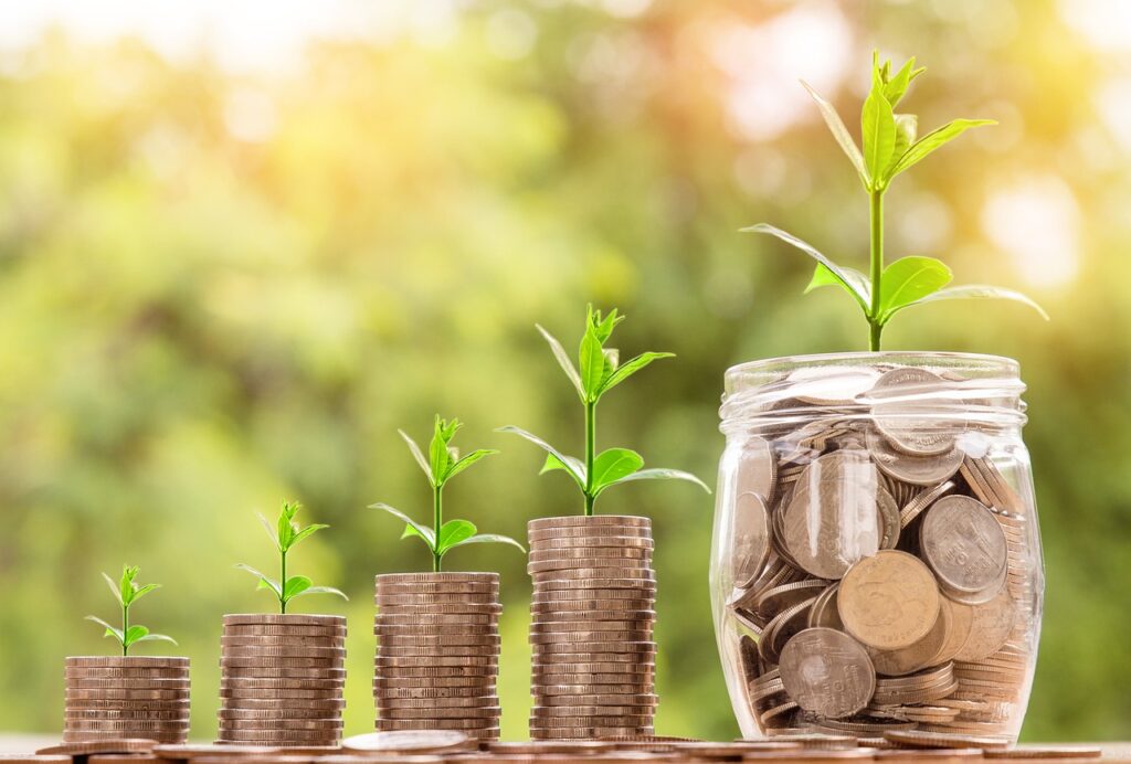 Finances: plants growing out of stacks of coins symbolic of wealth creation with time